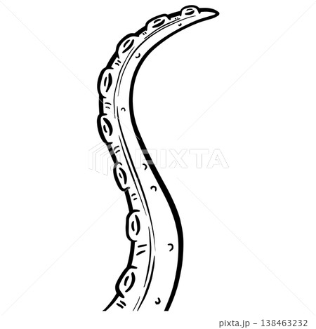 Graphic tentacle octopus suckers vector outline clipart illustration  138463232