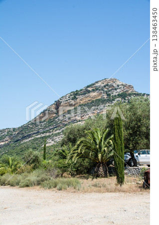 山に囲まれた広々とした平野に広がるワイナリー　地中海に浮かぶフランス領のコルシカ島にて 138463450