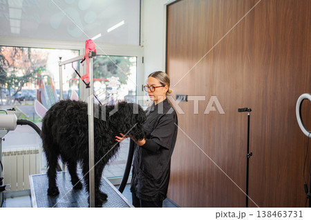 Professional groomer drying black pet dog at salon Professional groomer drying black pet dog at salon 138463731