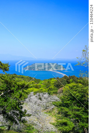 春爛漫の魚見岳から望む知林ヶ島 桜と新緑の絶景 春爛漫の魚見岳から望む知林ヶ島 桜と新緑の絶景 138464224
