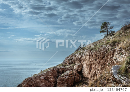 Solitary Pine on Rugged Cliff Overlooking Calm Sea Under Cloudy Sky Along the Coastline 138464767