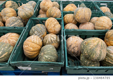 Variety of pumpkins displayed in green crates at a market 138464785
