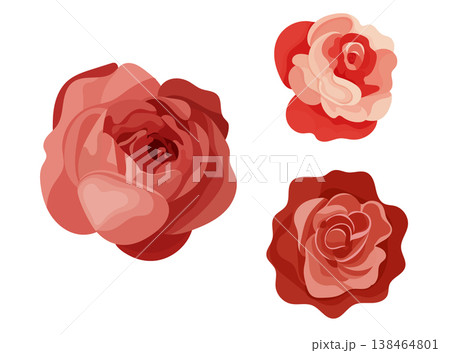 Red rose, flat vector illustration, elegant floral element isolated on white background, romantic botanical clipart for wedding cards and decor. 138464801