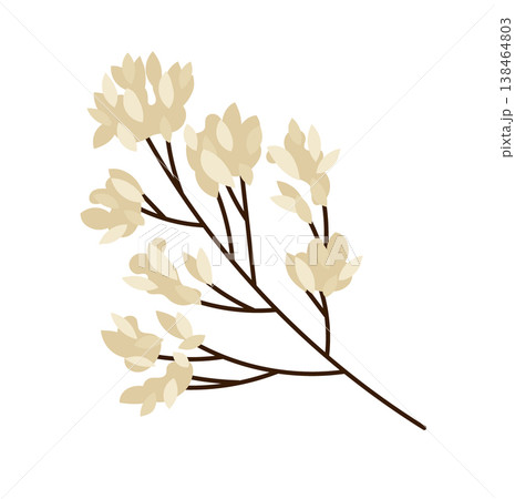 Beige floral branch with leaves, minimalist botanical 138464803