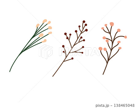 Minimal botanical branches set with berries and buds, simple flat vector illustration of floral elements, pastel colors isolated on white background Minimal botanical branches set with berries and buds, simple flat vector illustration of floral elements, pastel colors isolated on white background 138465048
