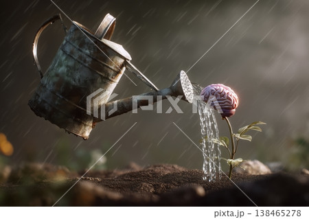 Brain blossom being nourished with knowledge from a watering can in a surreal, thought-provoking conceptual setting. Brain blossom being nourished with knowledge from a watering can in a surreal, thought-provoking conceptual setting. 138465278