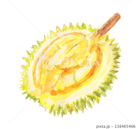 ドリアンの水彩イラスト ドリアンの水彩イラスト 138465466