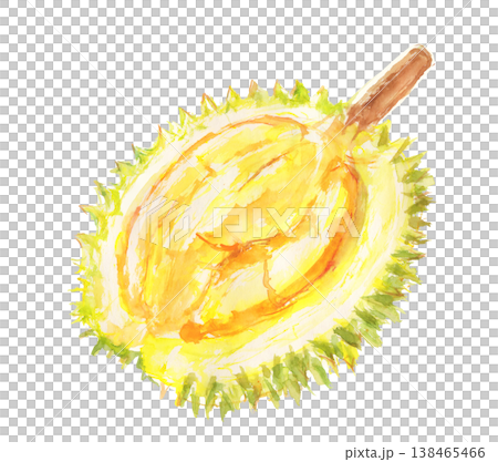 ドリアンの水彩イラスト ドリアンの水彩イラスト 138465466