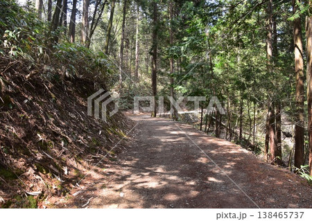 日本の岐阜県の高山市　城山公園へ向かう東山遊歩道の眺め　春の新緑と沢山の樹木 138465737