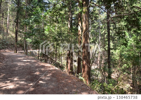 日本の岐阜県の高山市　城山公園へ向かう東山遊歩道の眺め　春の新緑と沢山の樹木 138465738