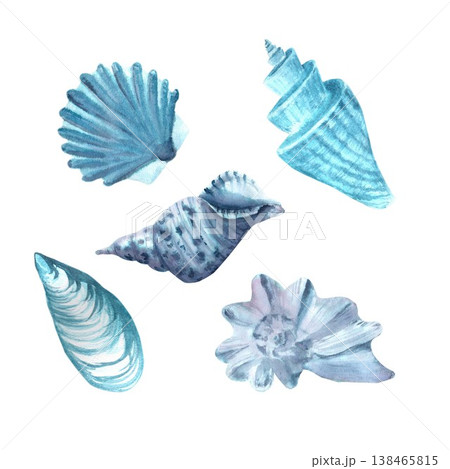 A collection of hand-drawn watercolor seashells and conch shells in blue, gray, and purple on an isolated background. Simple clip art of underwater objects with room for design and decoration. 138465815