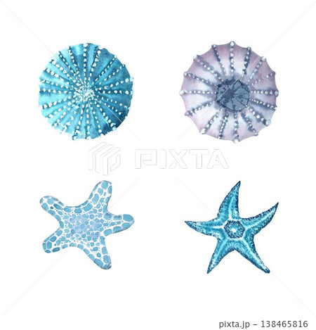 A collection of blue, gray, and purple sea urchins and starfish, hand-drawn in watercolor on an isolated background. Simple clip art of underwater objects with room for design and decoration. 138465816