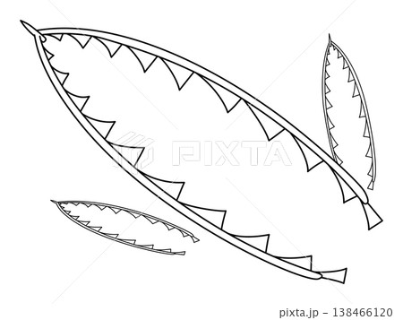 ポップなフデイシ(ディディモグラプタス)のイラスト 138466120