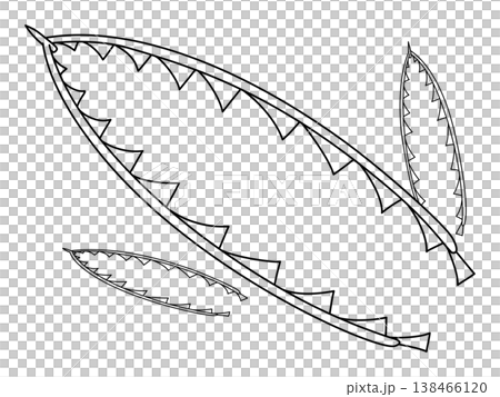 ポップなフデイシ(ディディモグラプタス)のイラスト 138466120
