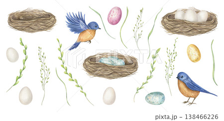 watercolor blue orange birds, twig nests with colorful eggs, and grass blades isolated clip art. Hand drawn woodland set for Easter cards, spring wedding invitations, baby shower stationery 138466226