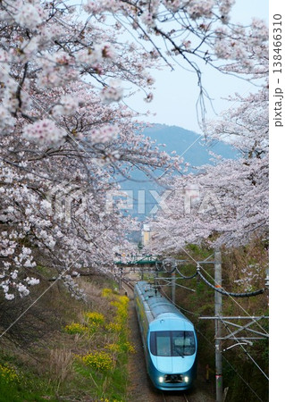 【山北の桜並木】青いロマンスカー・特急ふじさん 138466310