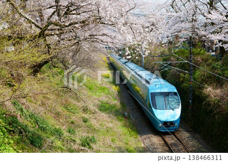 【御殿場線】山北の桜並木を行く小田急ロマンスカー(60000形 MSE) 【御殿場線】山北の桜並木を行く小田急ロマンスカー(60000形 MSE) 138466311