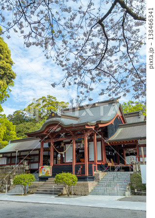 鹿児島県霧島市にある鹿児島神宮の社殿と春の風景 138466341