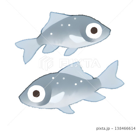 鮒(フナ)淡水魚のイラスト 水彩風 透過PNG 鮒(フナ)淡水魚のイラスト 水彩風 透過PNG 138466614