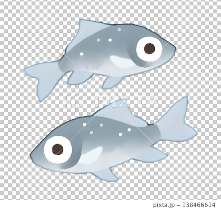 鯽魚(淡水魚)插圖,水彩風格,透明PNG格式。 鯽魚(淡水魚)插圖,水彩風格,透明PNG格式。 138466614
