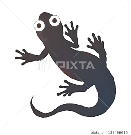 井守（アカハライモリ）両生類のイラスト 水彩風 透過PNG 138466616