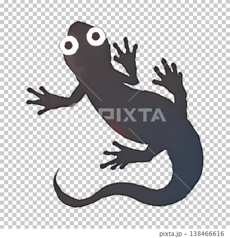 日本火腹蠑螈（兩棲類）插圖，水彩風格，透明PNG格式。 138466616