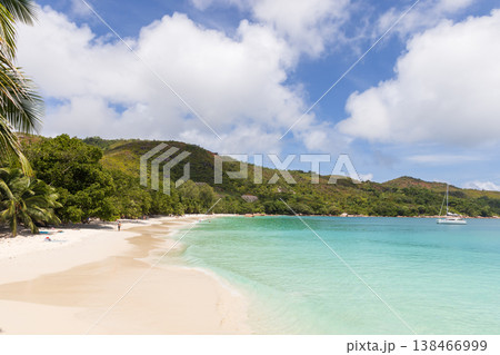 A tranquil tropical beach with powder-white sand, 138466999