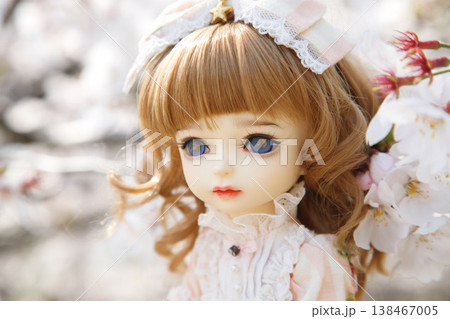 女の子の人形と満開の桜 女の子の人形と満開の桜 138467005