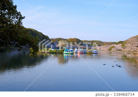 明石城 剛ノ池 138468714