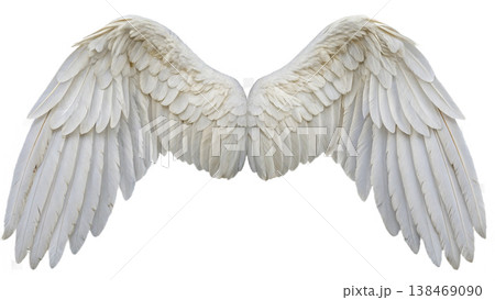 Realistic angel wings. White wing isolated. png transparency 138469090