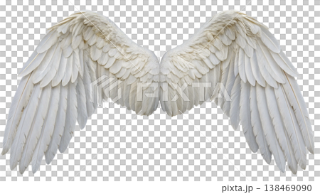 Realistic angel wings. White wing isolated. png transparency 138469090