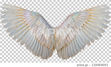 Realistic angel wings. White wing isolated. png transparency Realistic angel wings. White wing isolated. png transparency 138469091