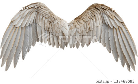 Realistic angel wings. White wing isolated. png transparency Realistic angel wings. White wing isolated. png transparency 138469093