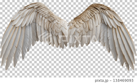 Realistic angel wings. White wing isolated. png transparency Realistic angel wings. White wing isolated. png transparency 138469093