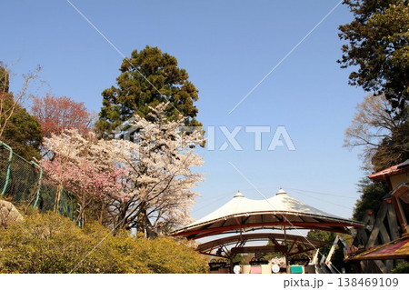 関西サイクルスポーツセンターと桜 関西サイクルスポーツセンターと桜 138469109