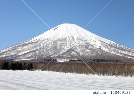 四月初旬、北海道、後志、ニセコ、青天、春来たらし、蝦夷富士、羊蹄山、真狩村、百合根生産日本一の村 四月初旬、北海道、後志、ニセコ、青天、春来たらし、蝦夷富士、羊蹄山、真狩村、百合根生産日本一の村 138469188