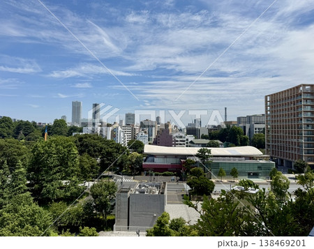上から見た東京 新宿区の摩天楼 上から見た東京 新宿区の摩天楼 138469201