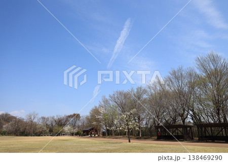 冬の公園で見た青空 冬の公園で見た青空 138469290