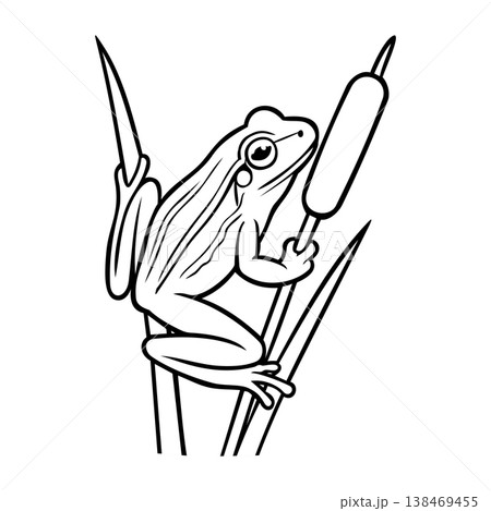 Black Line Frog Climb a Grass Illustration Character Vector Logo Template Black Line Frog Climb a Grass Illustration Character Vector Logo Template 138469455