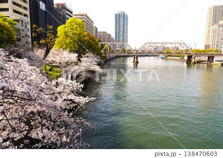 桜と大川の風景 桜と大川の風景 138470603