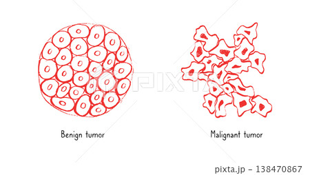 Cells structure sketch Cells structure sketch 138470867