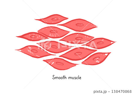 Cells structure sketch Cells structure sketch 138470868