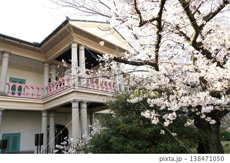 泉布観と桜の風景 泉布観と桜の風景 138471050