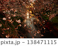 夜桜 138471115