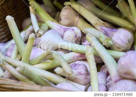 Fresh garlic harvested from the farm shown in a basket on a sunny day in a market Fresh garlic harvested from the farm shown in a basket on a sunny day in a market 138471466