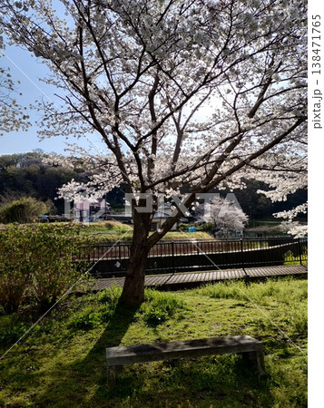 桜のある風景 138471765