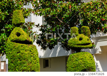 Beautiful funny bush figures in a garden 138471826