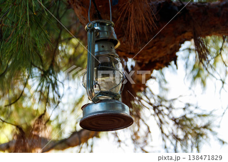 Old gas lamp hanging on a tree branch 138471829