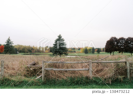 Old Fence With Grassy View. Serene Landscape With Trees And Fields Old Fence With Grassy View. Serene Landscape With Trees And Fields 138473212