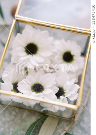 Soft Natural Light Illuminates Vintage Book Scene Featuring Bridal Jewelry And Floral Accents Soft Natural Light Illuminates Vintage Book Scene Featuring Bridal Jewelry And Floral Accents 138473410